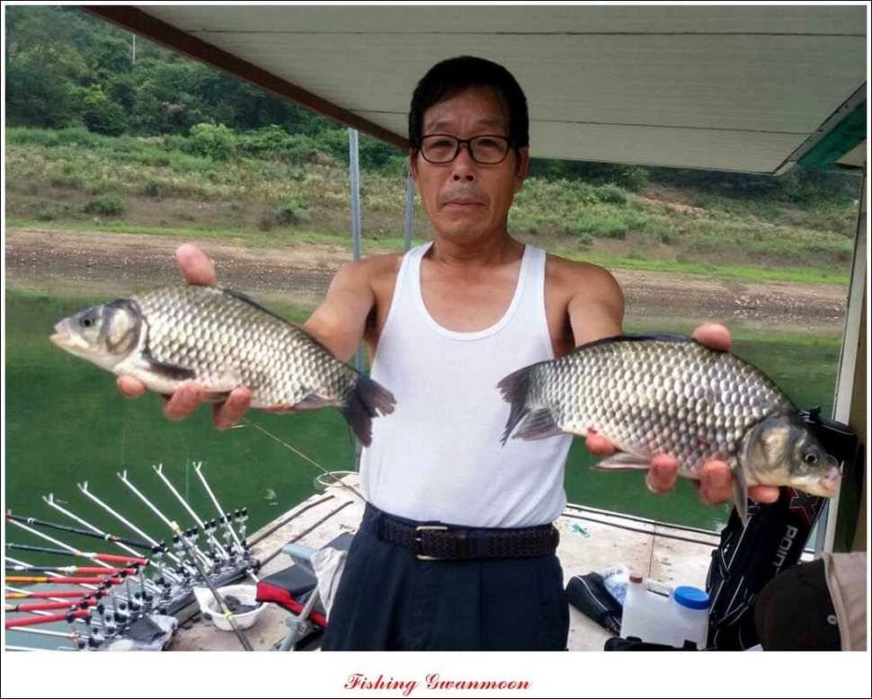 실리곡화곡지달천강 조황 (조황조행기 - 특파원조황)