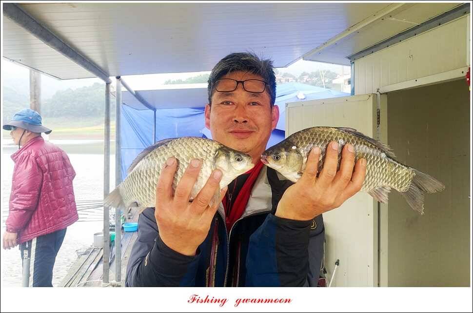 늘푸른 42 cm돌감한버들실리곡 월척 조황 (조황조행기 - 특파원조황)