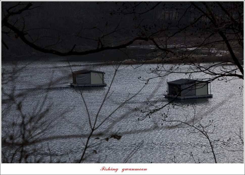 충주호 물낚시와 빙어 낚시 조황 (조황조행기 - 특파원조황)