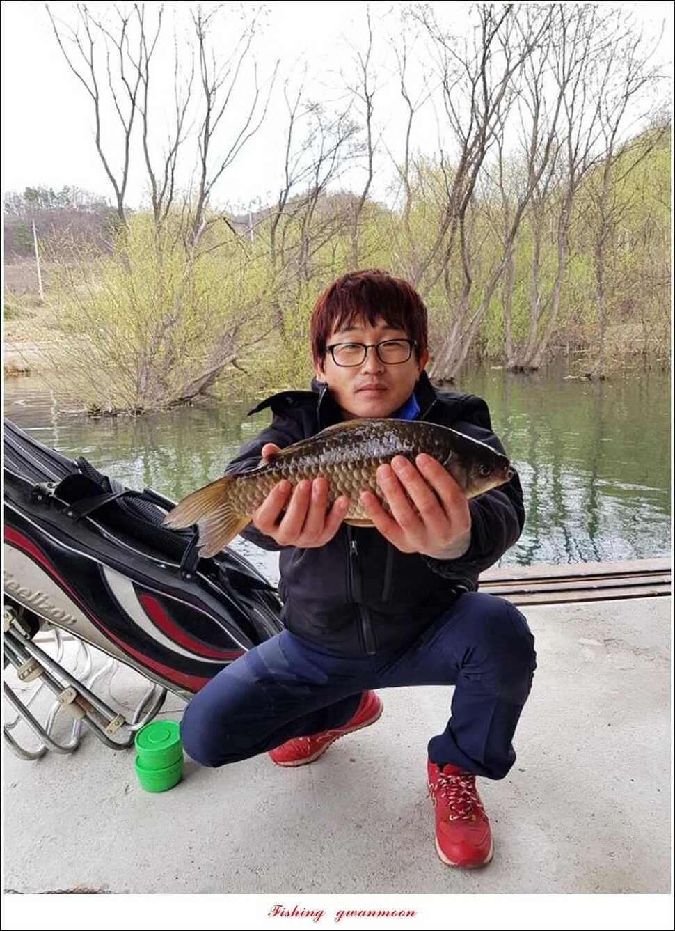 충주괴산권 호조황 소식 (조황조행기 - 특파원조황)