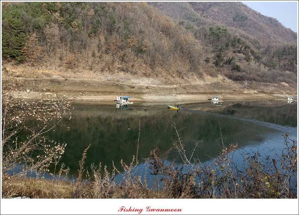 실리곡돌감짱가네한버들 조황 (조황조행기 - 특파원조황)