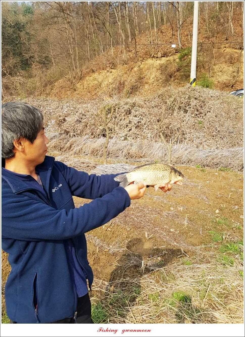 충주괴산권 호조황 소식 (조황조행기 - 특파원조황)