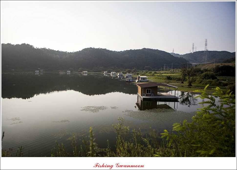 실리곡화곡지달천강 조황 (조황조행기 - 특파원조황)