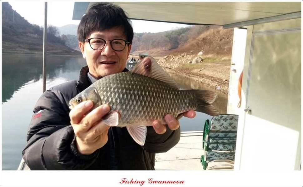 실리곡돌감짱가네한버들 조황 (조황조행기 - 특파원조황)