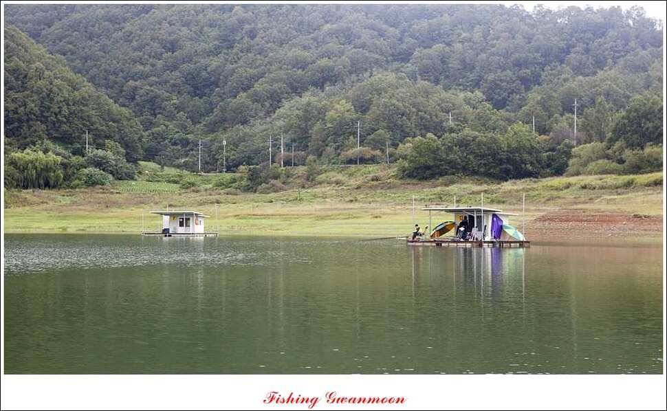 한버들병호실리곡화곡지달천강 조황 (조황조행기 - 특파원조황)