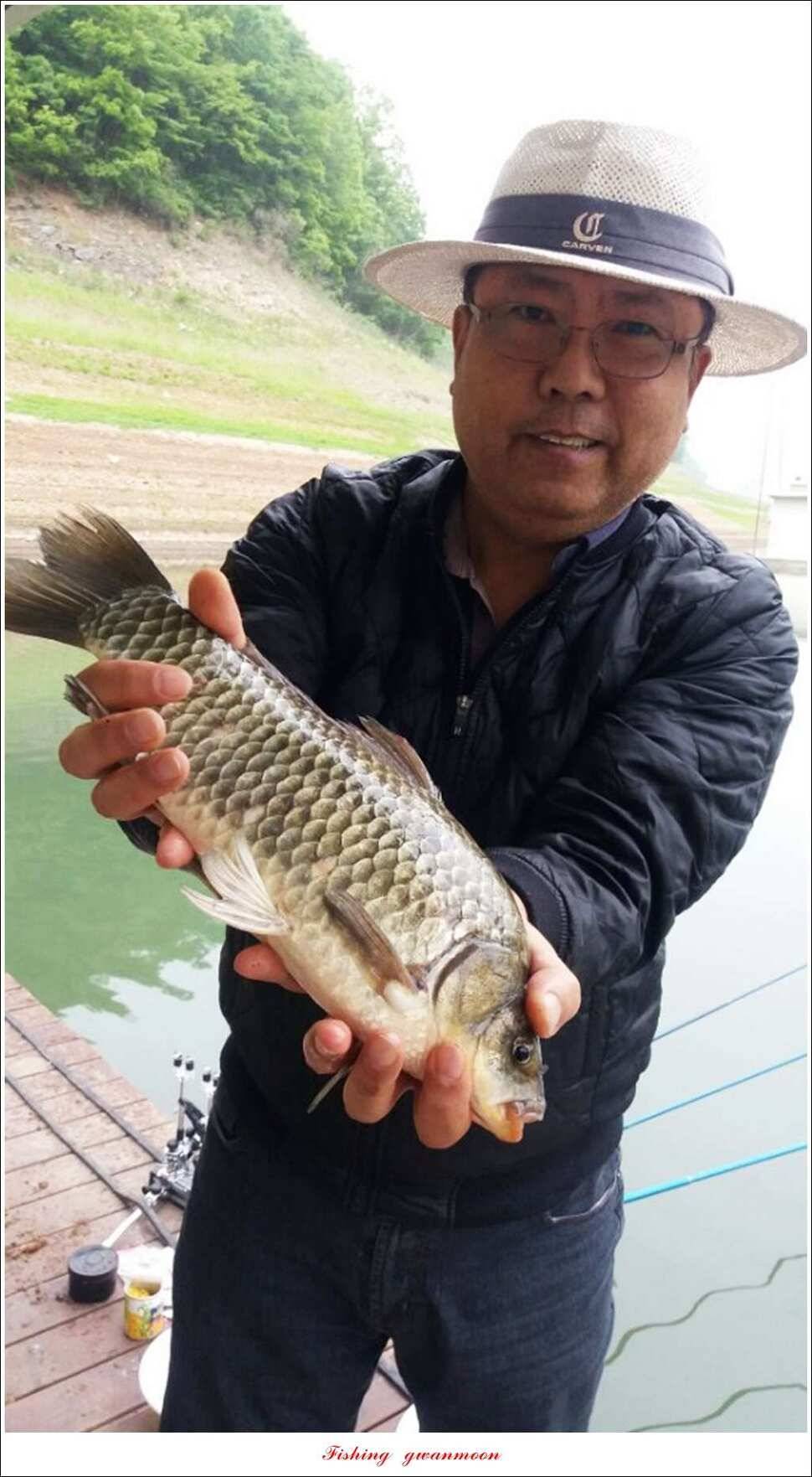 한버들실리곡돌감 월척 (조황조행기 - 특파원조황)