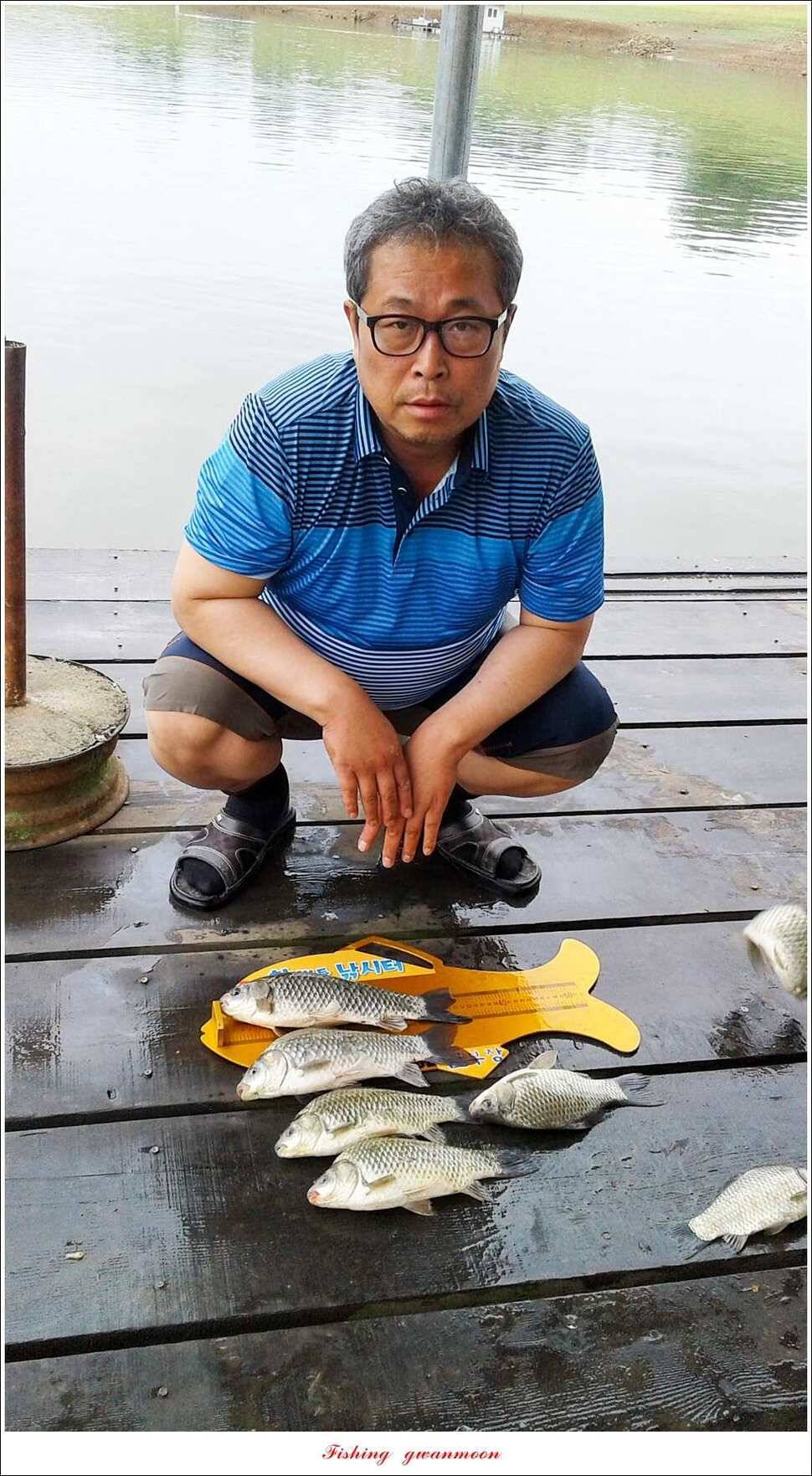 늘푸른 42 cm돌감한버들실리곡 월척 조황 (조황조행기 - 특파원조황)