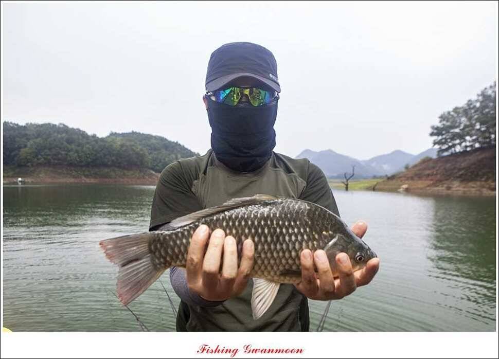한버들병호실리곡화곡지달천강 조황 (조황조행기 - 특파원조황)