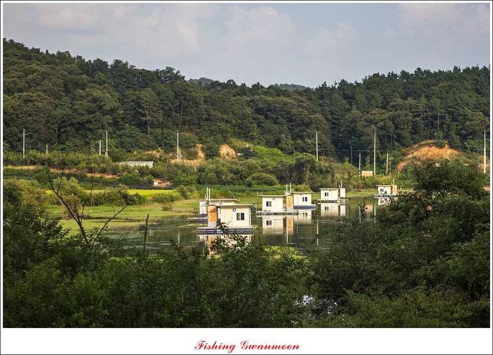 실리곡화곡지달천강 조황 (조황조행기 - 특파원조황)