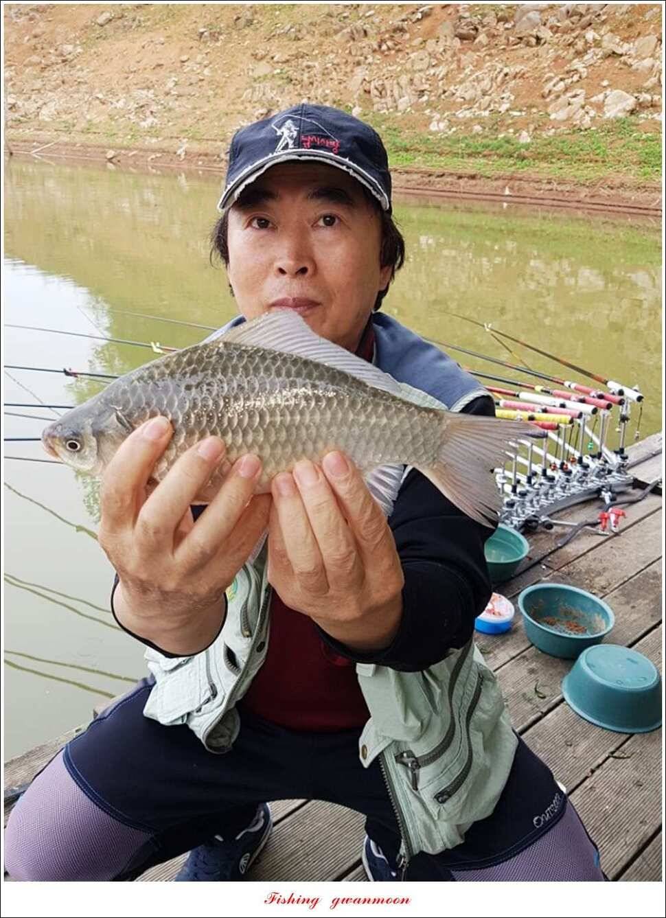 한버들실리곡돌감 월척 (조황조행기 - 특파원조황)