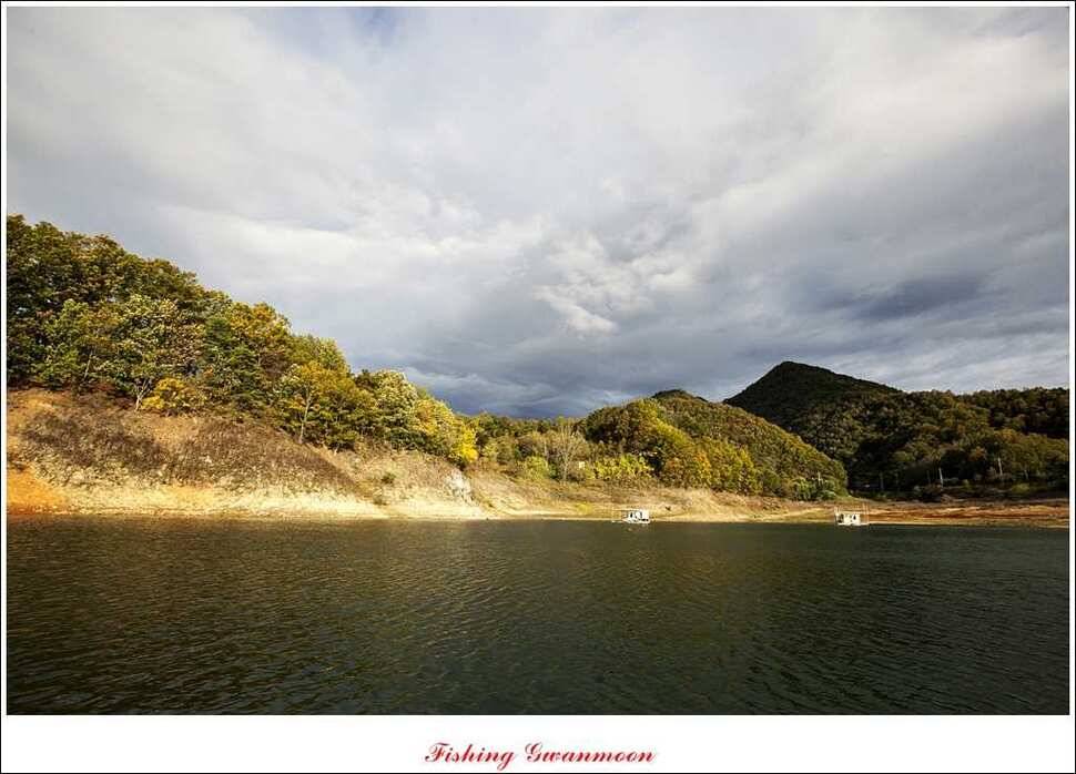 충주호 주말 조황 (조황조행기 - 특파원조황)