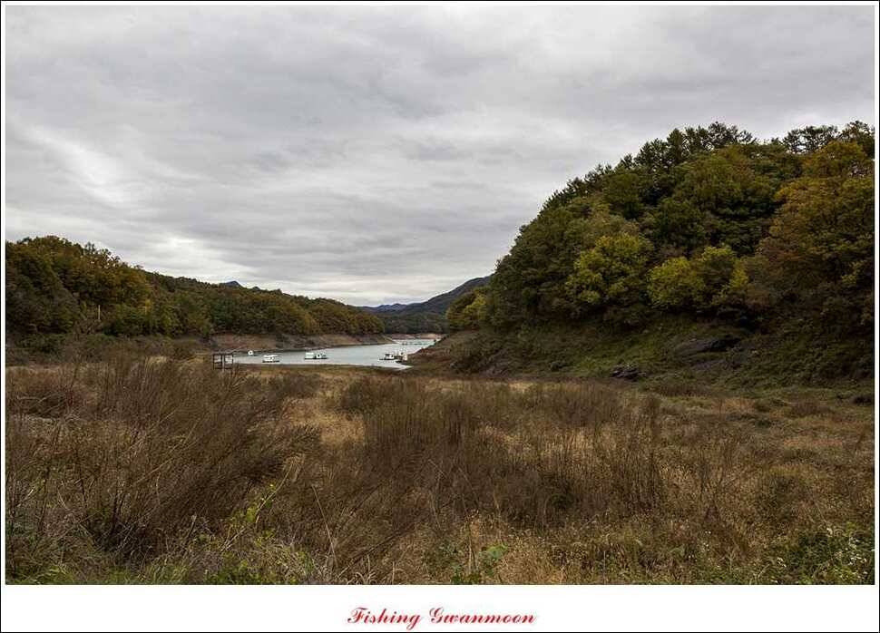 충주호 주말 조황 (조황조행기 - 특파원조황)