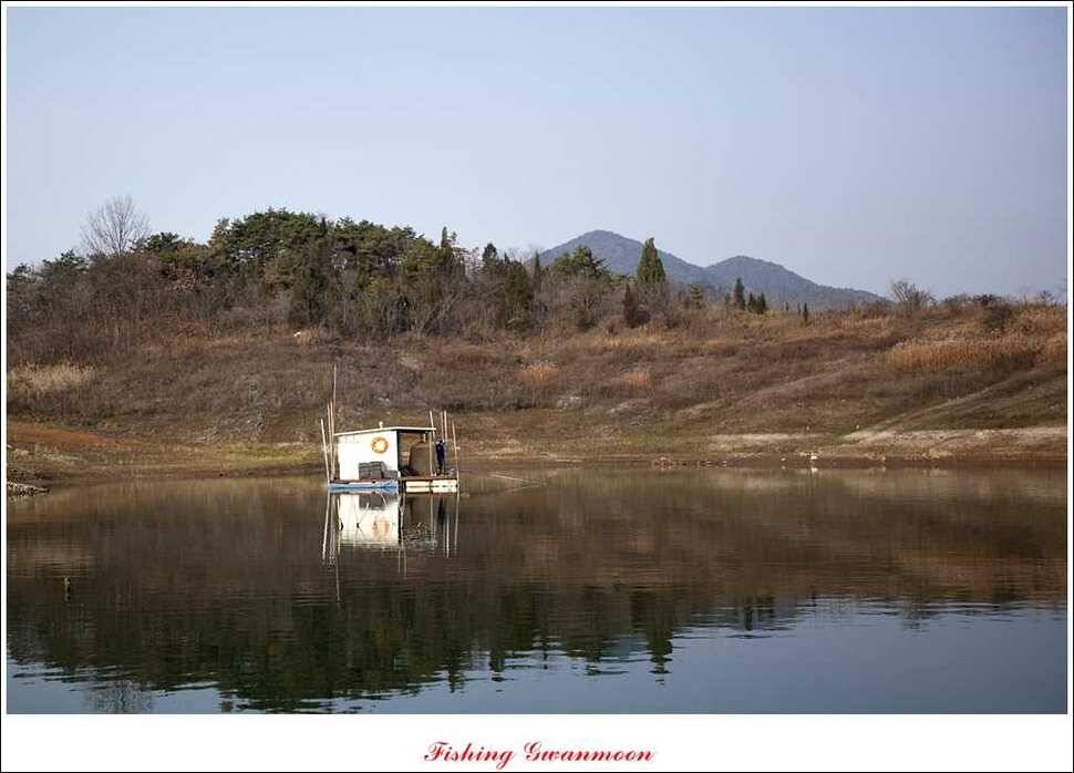 실리곡돌감짱가네한버들 조황 (조황조행기 - 특파원조황)