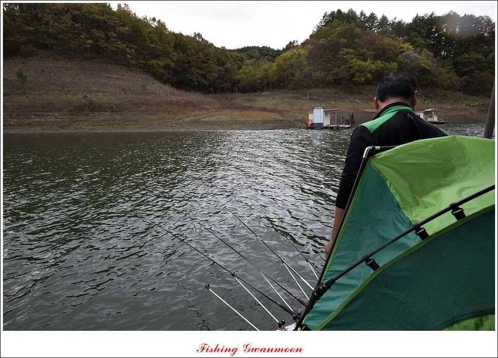 충주호 주말 조황 (조황조행기 - 특파원조황)