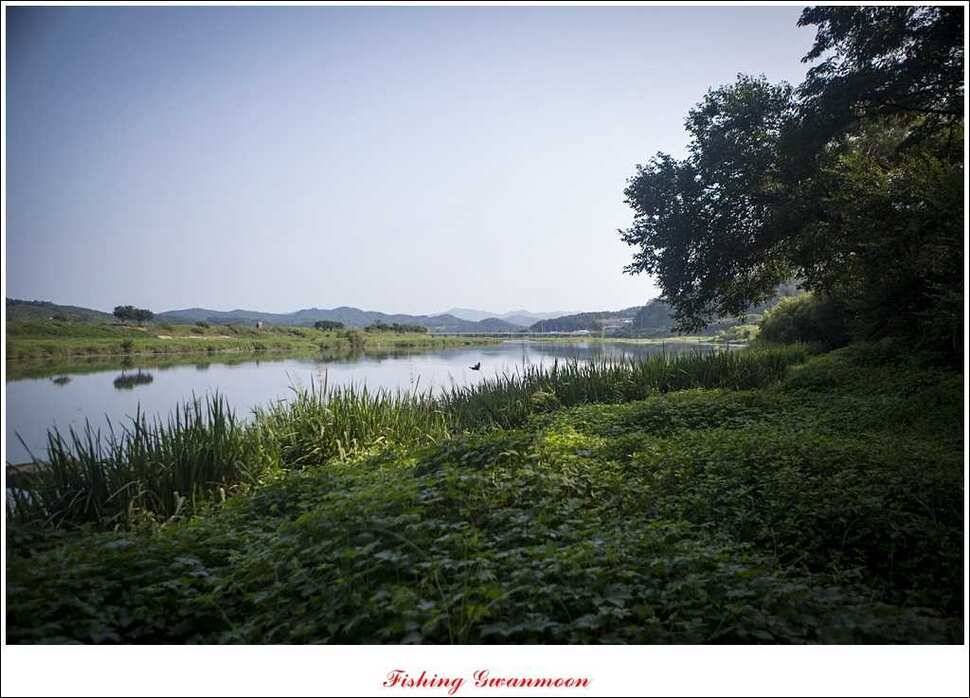 실리곡화곡지달천강 조황 (조황조행기 - 특파원조황)