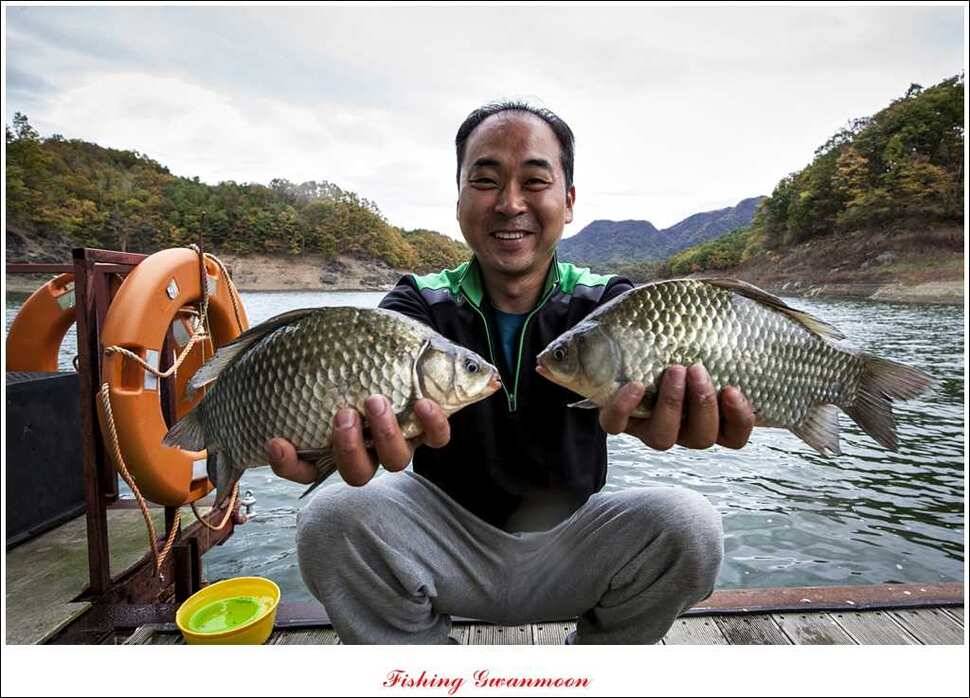 충주호 주말 조황 (조황조행기 - 특파원조황)