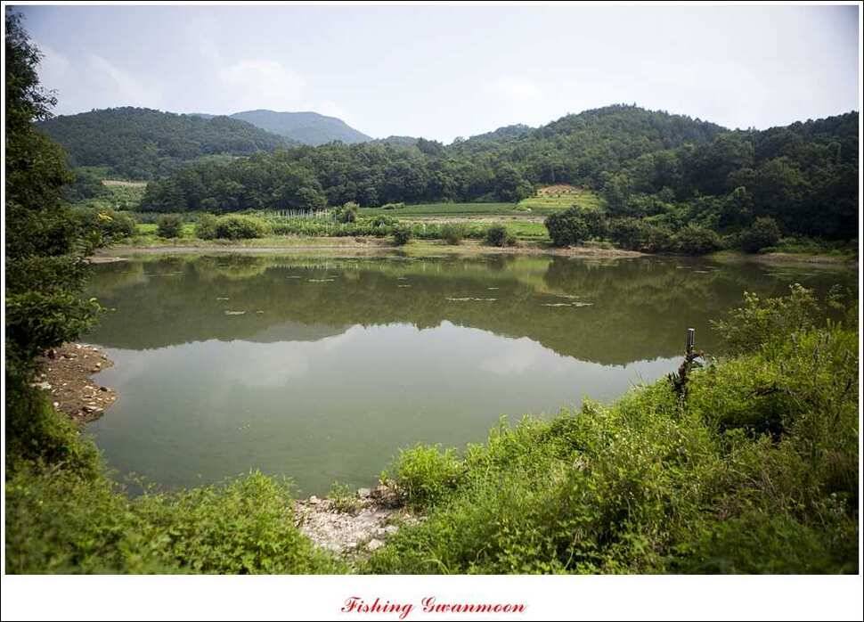 실리곡화곡지달천강 조황 (조황조행기 - 특파원조황)