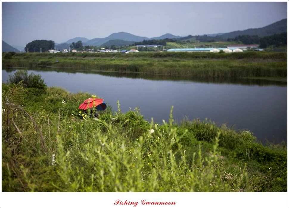 실리곡화곡지달천강 조황 (조황조행기 - 특파원조황)