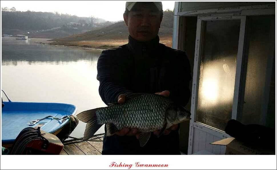 실리곡돌감짱가네한버들 조황 (조황조행기 - 특파원조황)
