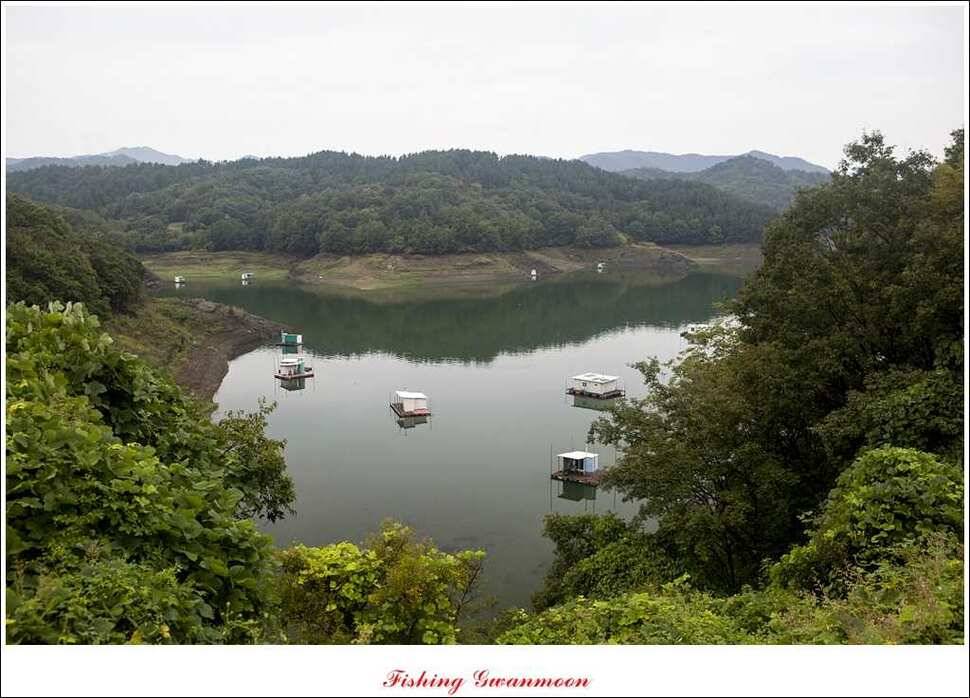 한버들병호실리곡화곡지달천강 조황 (조황조행기 - 특파원조황)
