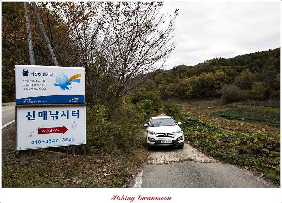 충주호 주말 조황 (조황조행기 - 특파원조황)