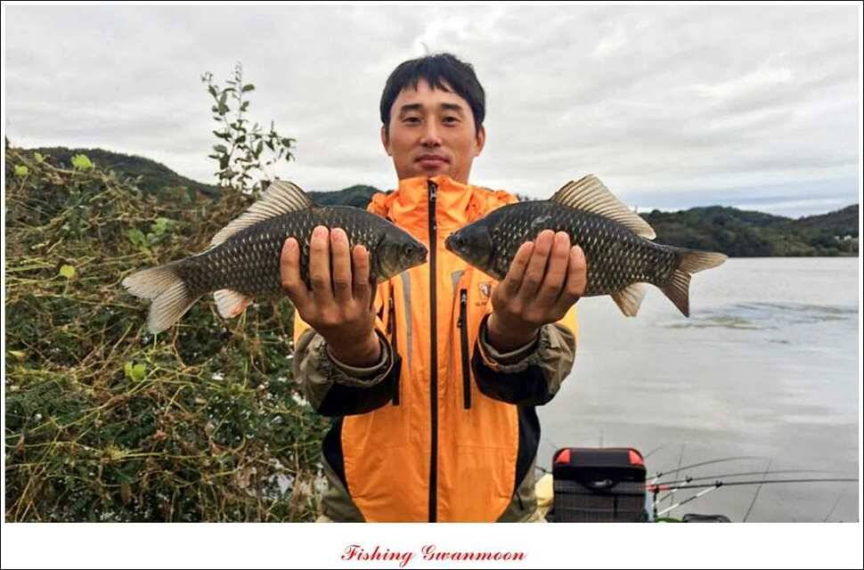 충주호 주말 조황 (조황조행기 - 특파원조황)