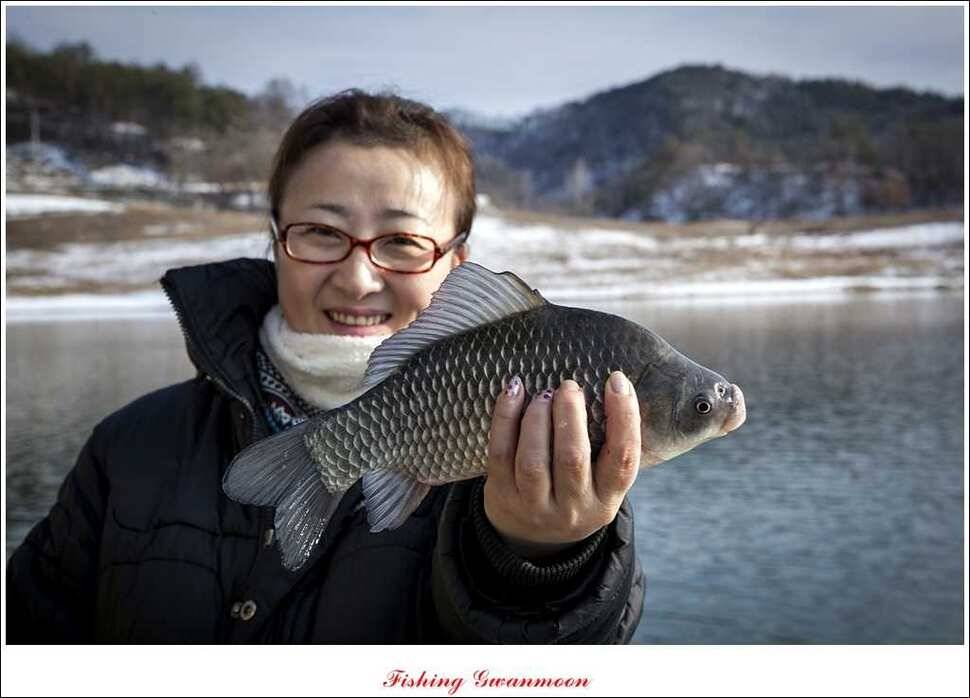 충주 겨울 이야기 (조황조행기 - 특파원조황)