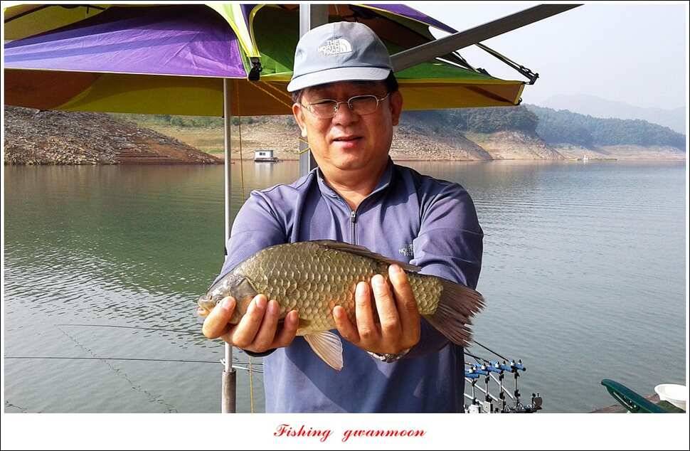늘푸른 395 cm병호 35 cm한버들 월척 조황 (조황조행기 - 특파원조황)