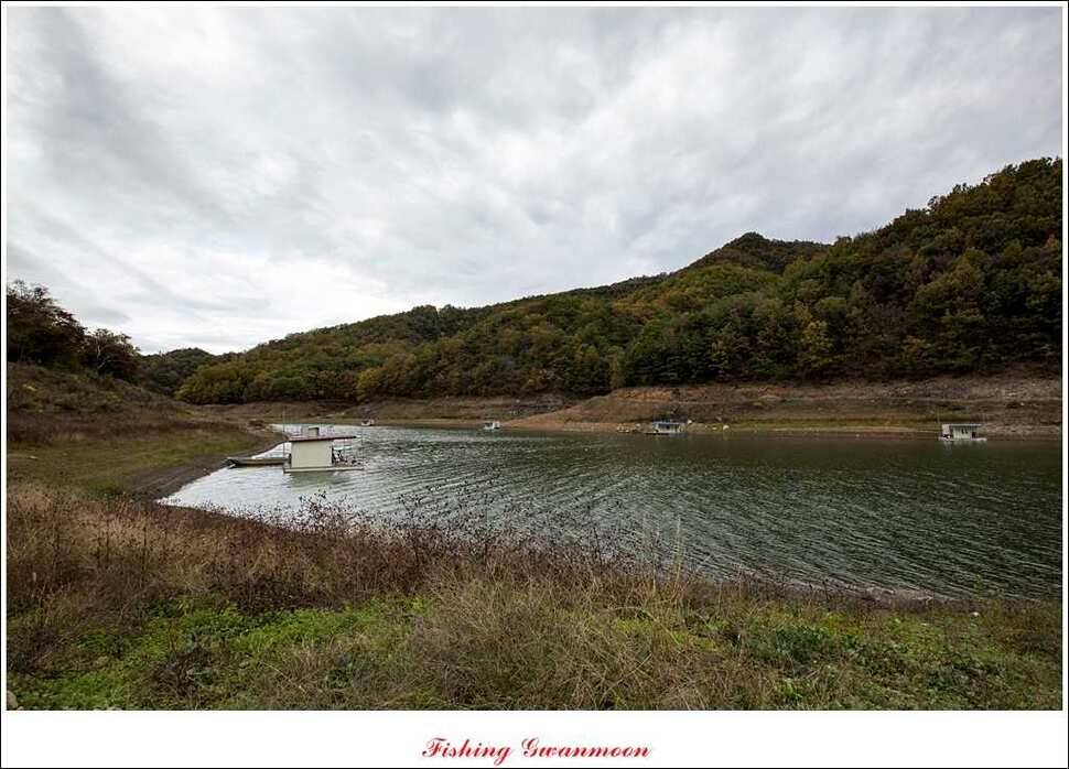 충주호 주말 조황 (조황조행기 - 특파원조황)