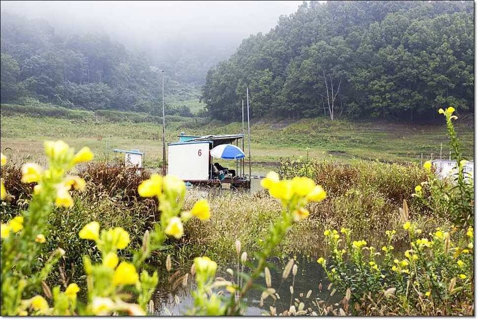 윤 사짜병호 월척 (조황조행기 - 특파원조황)