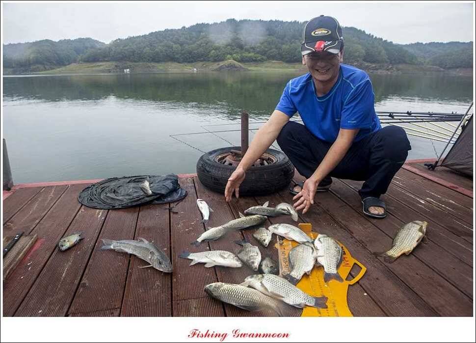 한버들병호실리곡화곡지달천강 조황 (조황조행기 - 특파원조황)