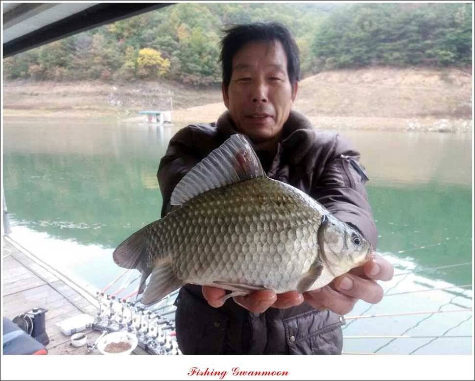 충주호 주말 조황 (조황조행기 - 특파원조황)