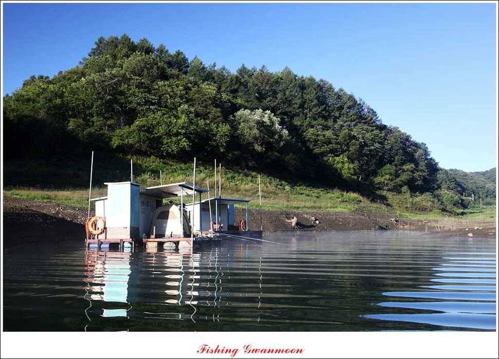 신매 사짜한버들 월척윤 장어 조황 (조황조행기 - 특파원조황)