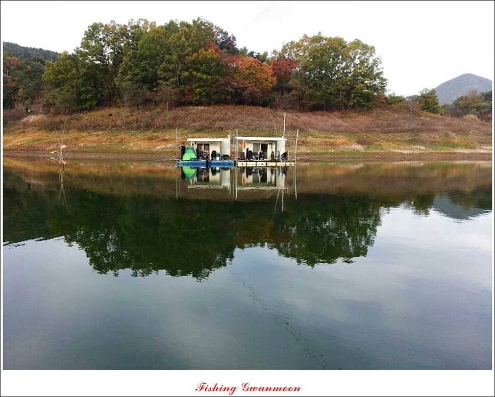 충주호 주말 조황 (조황조행기 - 특파원조황)