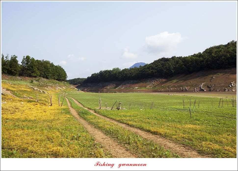 충주호 노지 39 cm돌감한버들 월척 조황 (조황조행기 - 특파원조황)
