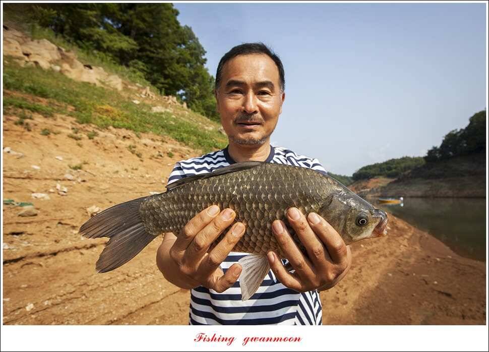 충주호 노지 39 cm돌감한버들 월척 조황 (조황조행기 - 특파원조황)