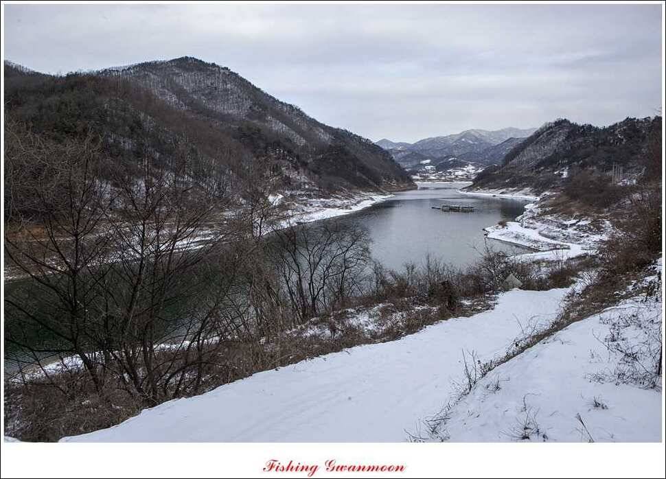 충주 겨울 이야기 (조황조행기 - 특파원조황)