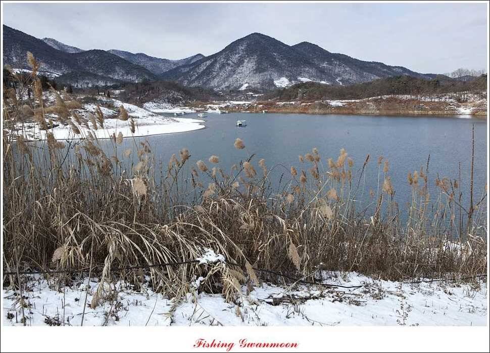 충주 겨울 이야기 (조황조행기 - 특파원조황)