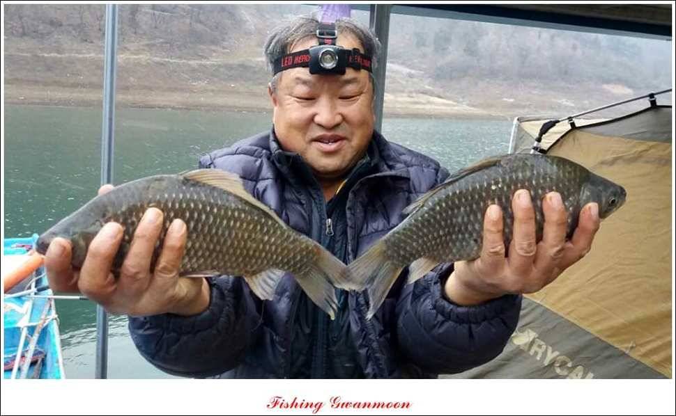실리곡한버들 조황 (조황조행기 - 특파원조황)