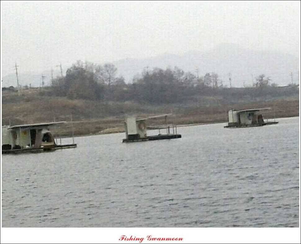 실리곡한버들 조황 (조황조행기 - 특파원조황)