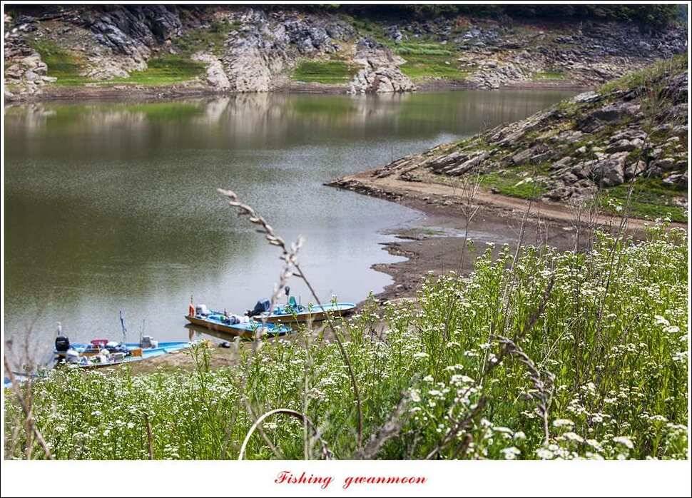 충주호 노지 39 cm돌감한버들 월척 조황 (조황조행기 - 특파원조황)