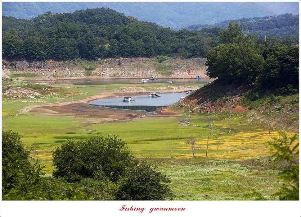 충주호 노지 39 cm돌감한버들 월척 조황 (조황조행기 - 특파원조황)