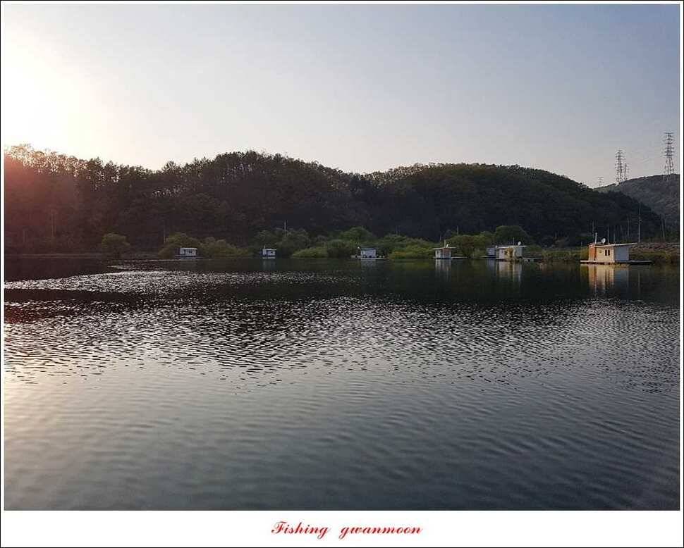 실리곡 38 cm 월척화곡지 월척 조황 (조황조행기 - 특파원조황)