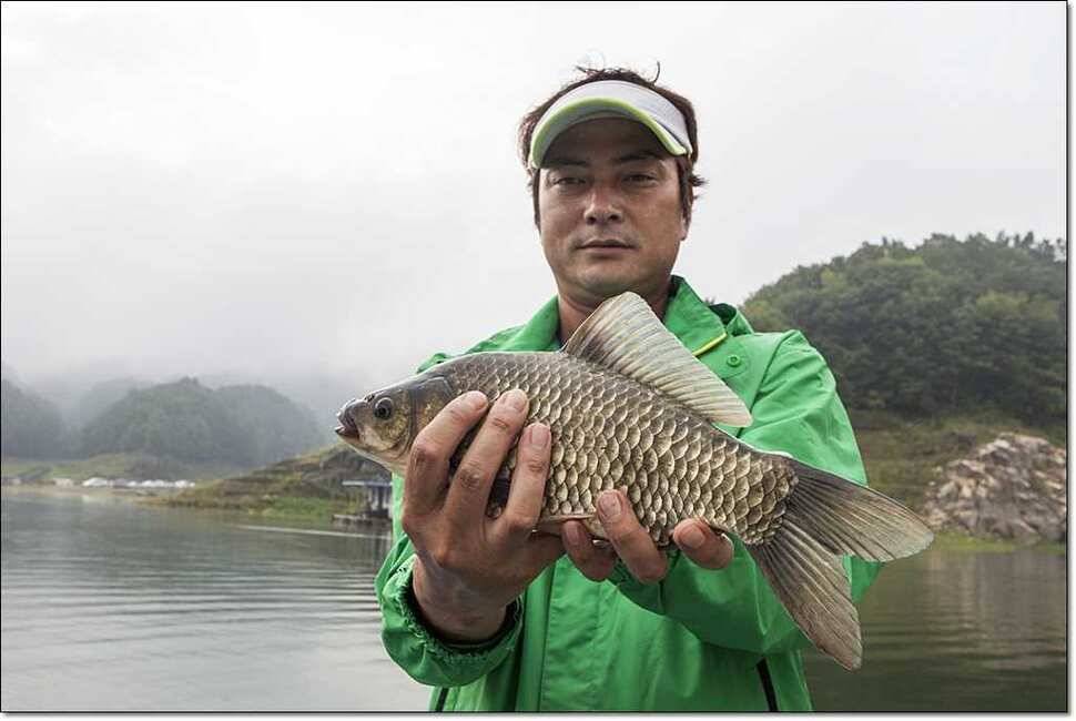 윤 사짜병호 월척 (조황조행기 - 특파원조황)