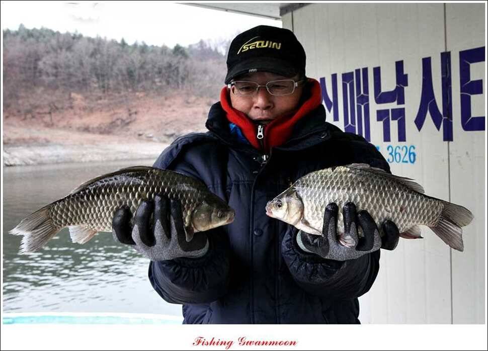 제일 월척신매 월척 조황 (조황조행기 - 특파원조황)