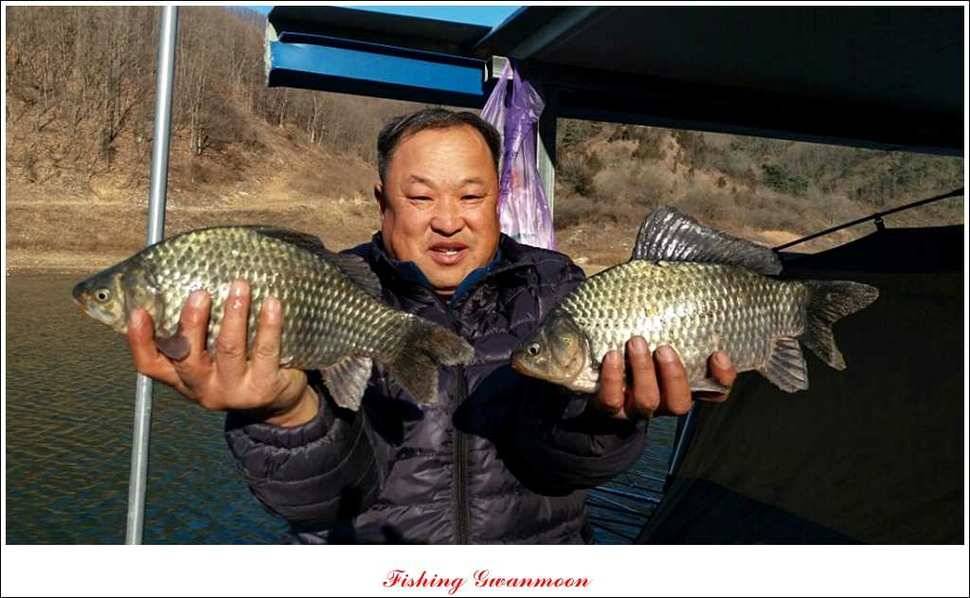 실리곡한버들 제일 월척 (조황조행기 - 특파원조황)