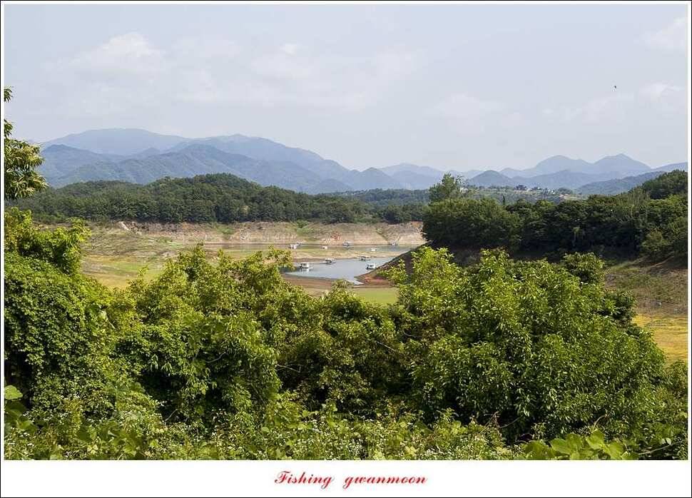 충주호 노지 39 cm돌감한버들 월척 조황 (조황조행기 - 특파원조황)