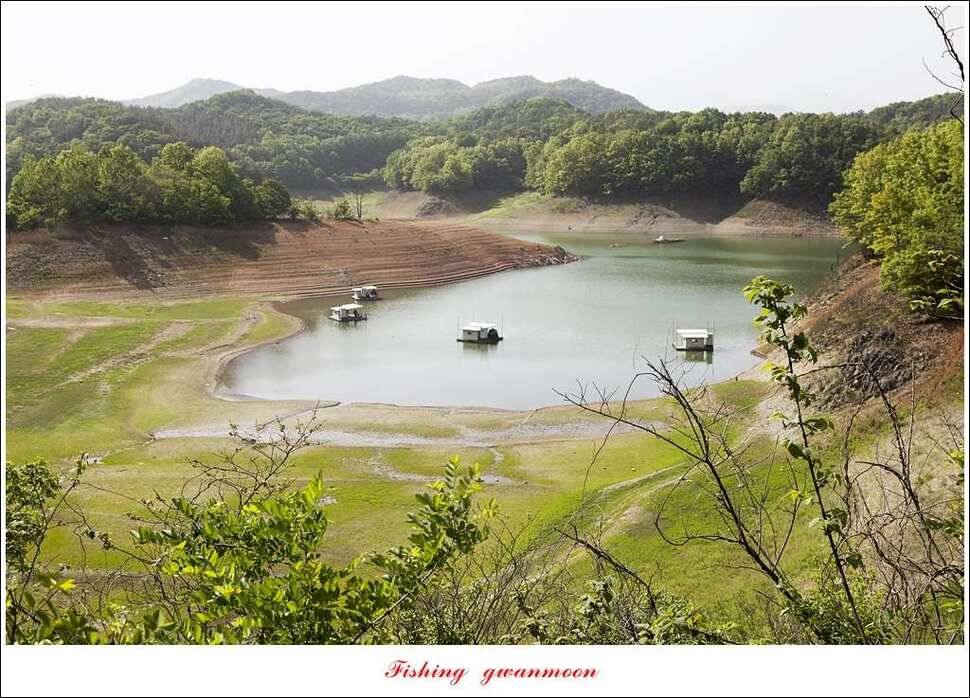 한버들실리곡 월척 행진저수지 사짜 (조황조행기 - 특파원조황)