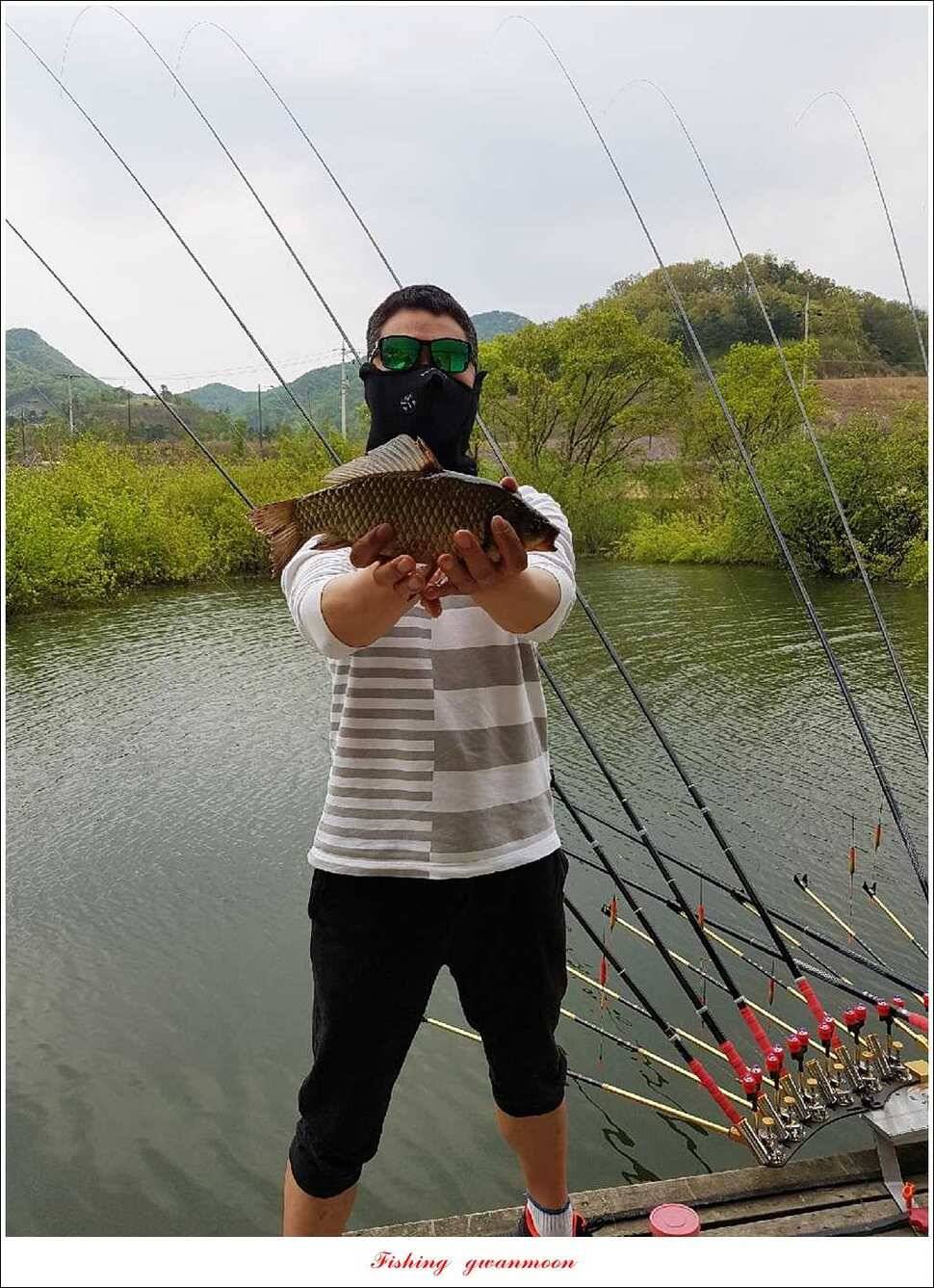 실리곡 38 cm 월척화곡지 월척 조황 (조황조행기 - 특파원조황)