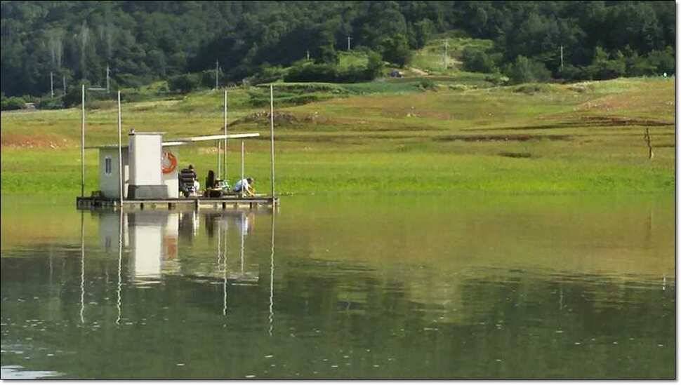 한버들 42 cm병호 385 cm늘푸른 키로장어 (조황조행기 - 특파원조황)